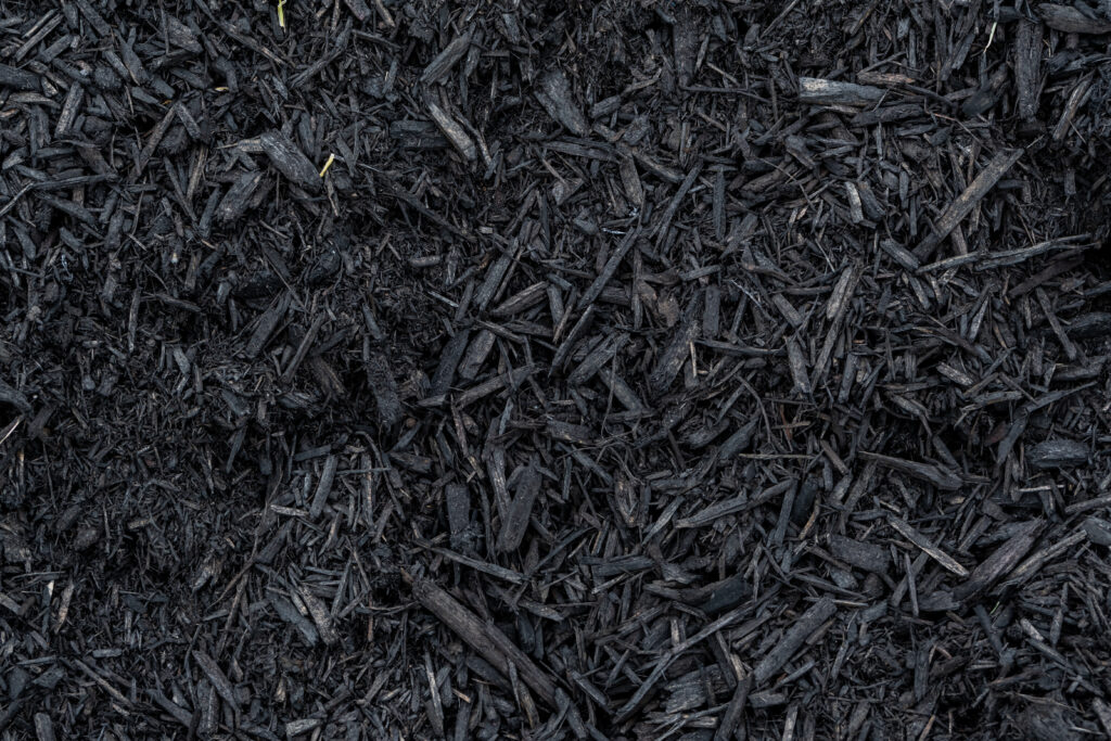 Closeup of color enhanced black mulch
