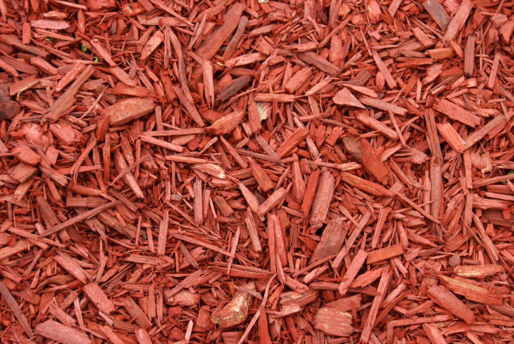 Closeup of color enhanced red mulch